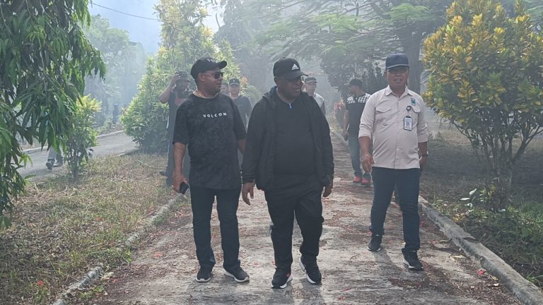 WhatsApp Image 2023-01-19 at 22.41.51