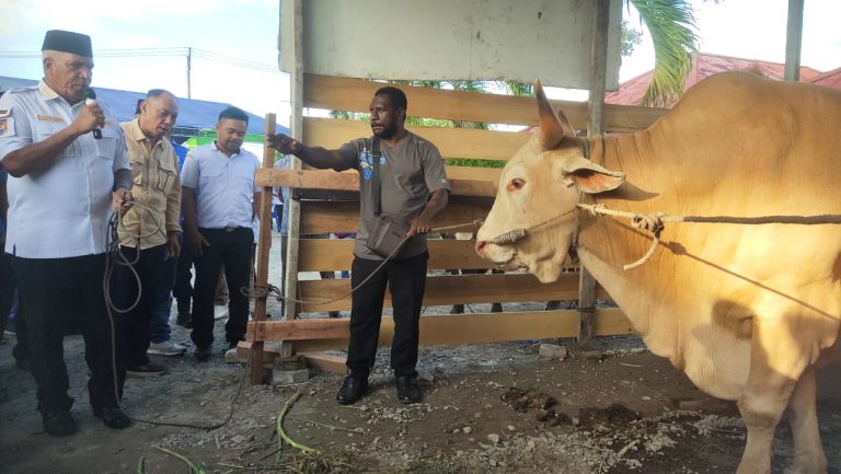 WhatsApp Image 2023-06-29 at 06.06.54