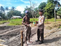 Kepolisian serahkan bantuan bibit sayur bagi masyarakat Kampung Kimaam