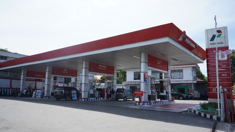 WhatsApp Image 2024-08-13 at 12.48.29 (1)