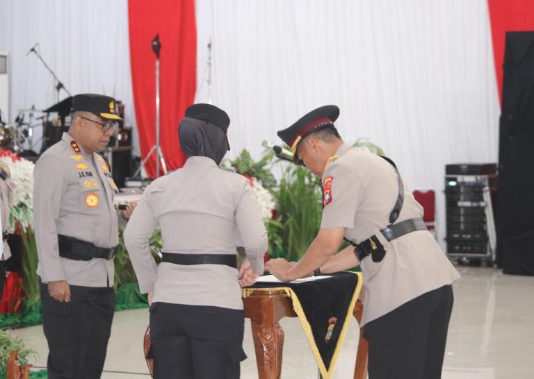 WhatsApp Image 2024-12-04 at 02.40.58