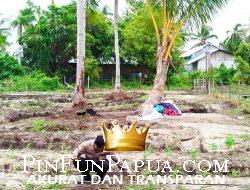Kapolres Kaimana Pantau dan Rawat Pertumbuhan Jagung dalam Program Ketahanan Pangan