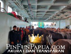 Menjelang Iduladha 1446 H, 37 Ekor Sapi yang Masuk ke Fakfak Dinyatakan Bebas PMK