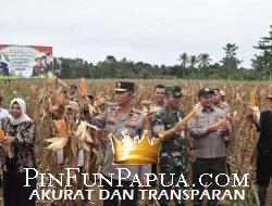 Polda Papua Barat Gelar Panen Raya Jagung Serentak di Manokwari, Dukung Program Ketahanan Pangan Nasional
