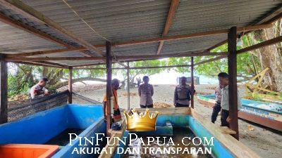 Polresta Manokwari Lepas Tukik di Pantai Menyumfoka sebagai Upaya Pelestarian Ekosistem Laut