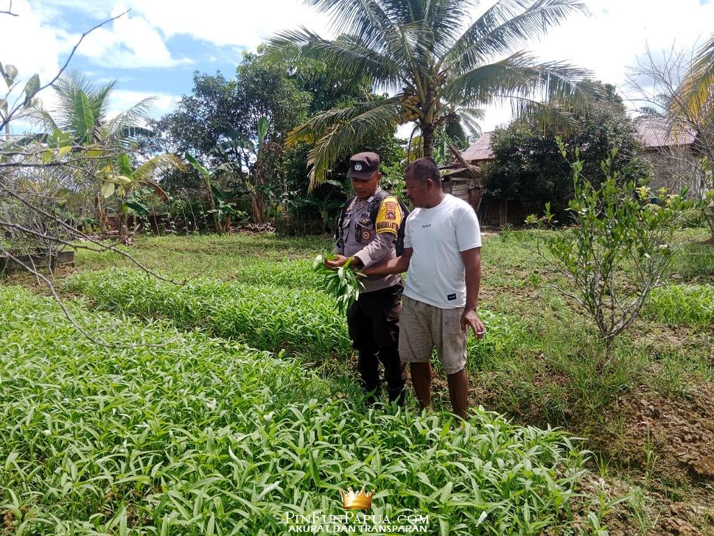 IMG_20250717_224801_(1024_x_768_piksel)