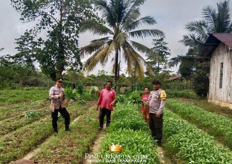 IMG_20250719_212459_(1024_x_727_piksel)