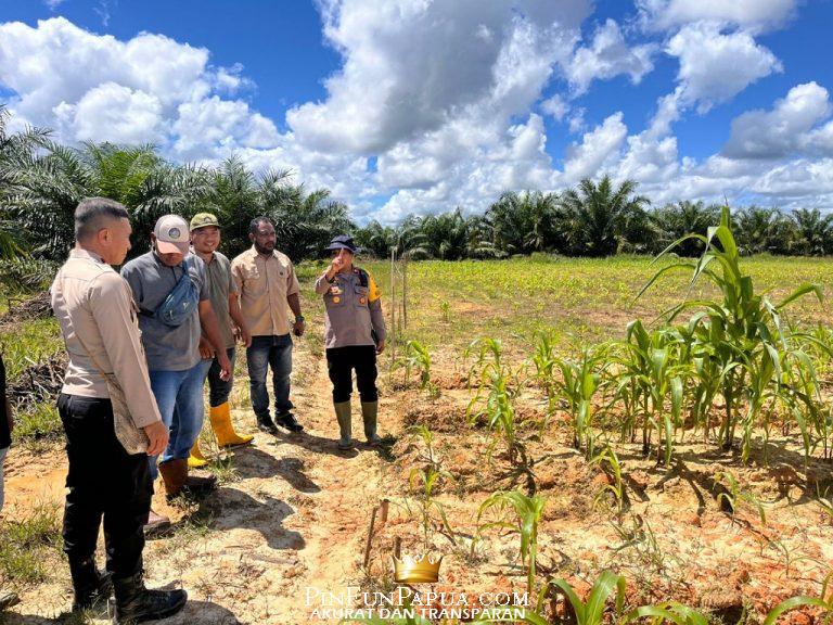 IMG_20250730_152808_(1024_x_768_piksel)