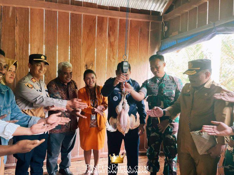 Compress_20251229_165921_1101