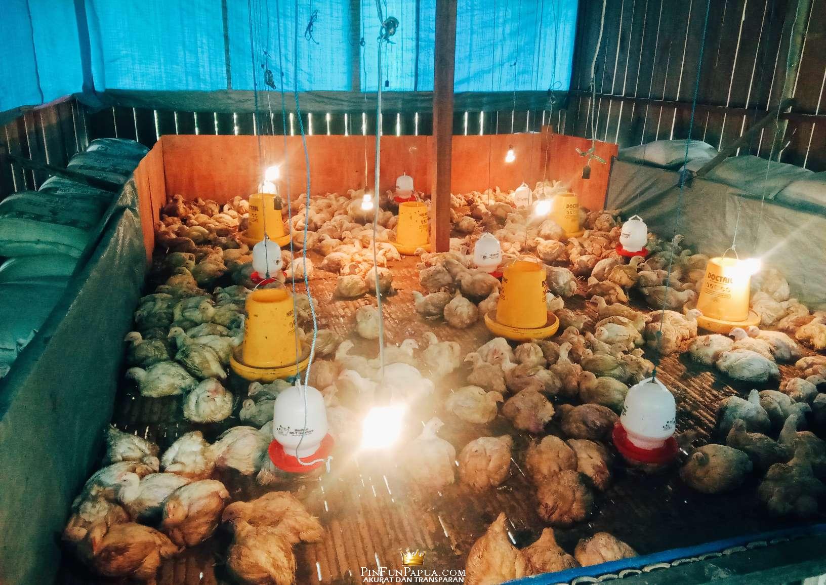 Compress_20251230_175950_0987