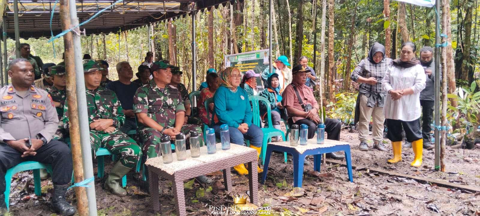 Compress_20260108_182720_0974