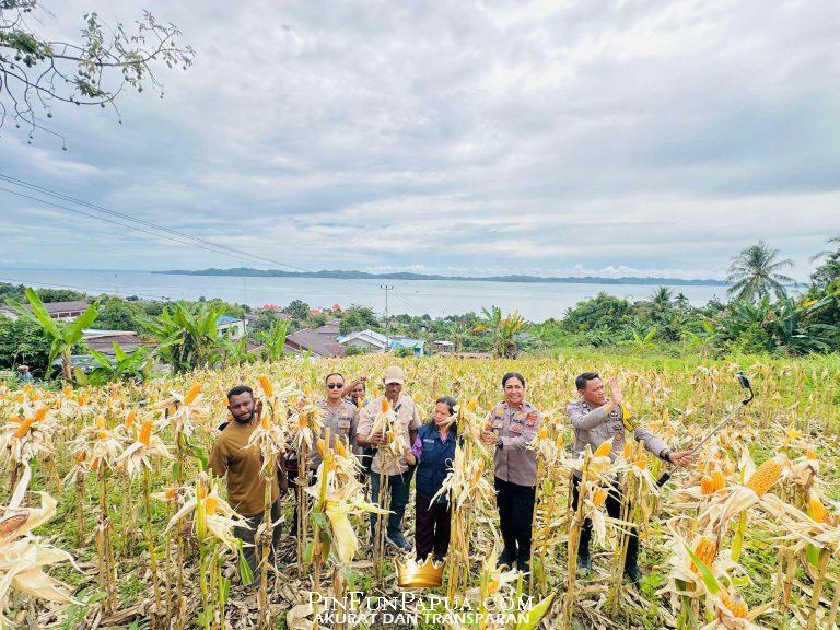 Compress_20260108_214203_3226