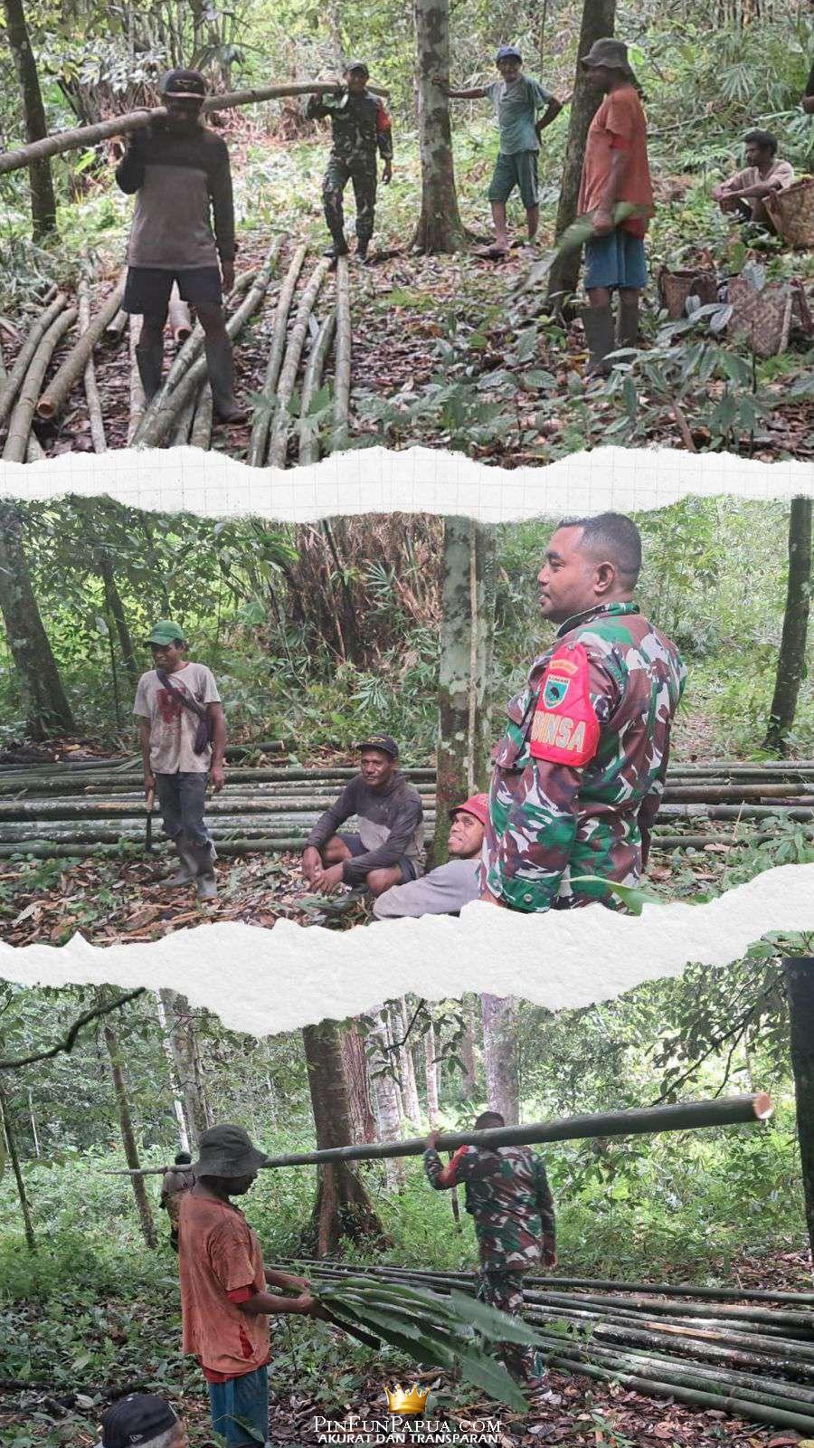 Compress_20260122_223219_9569