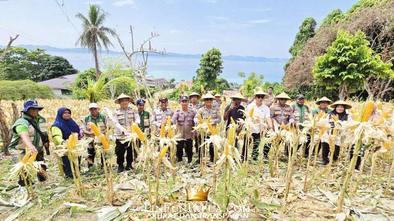 Compress_20260129_170427_7584