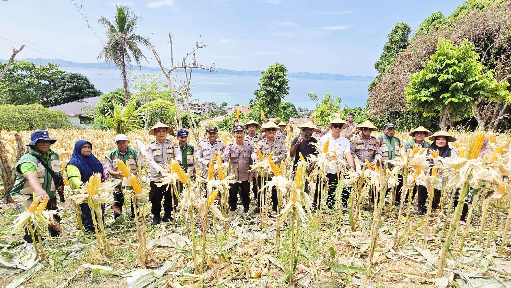 Compress_20260129_170427_7584