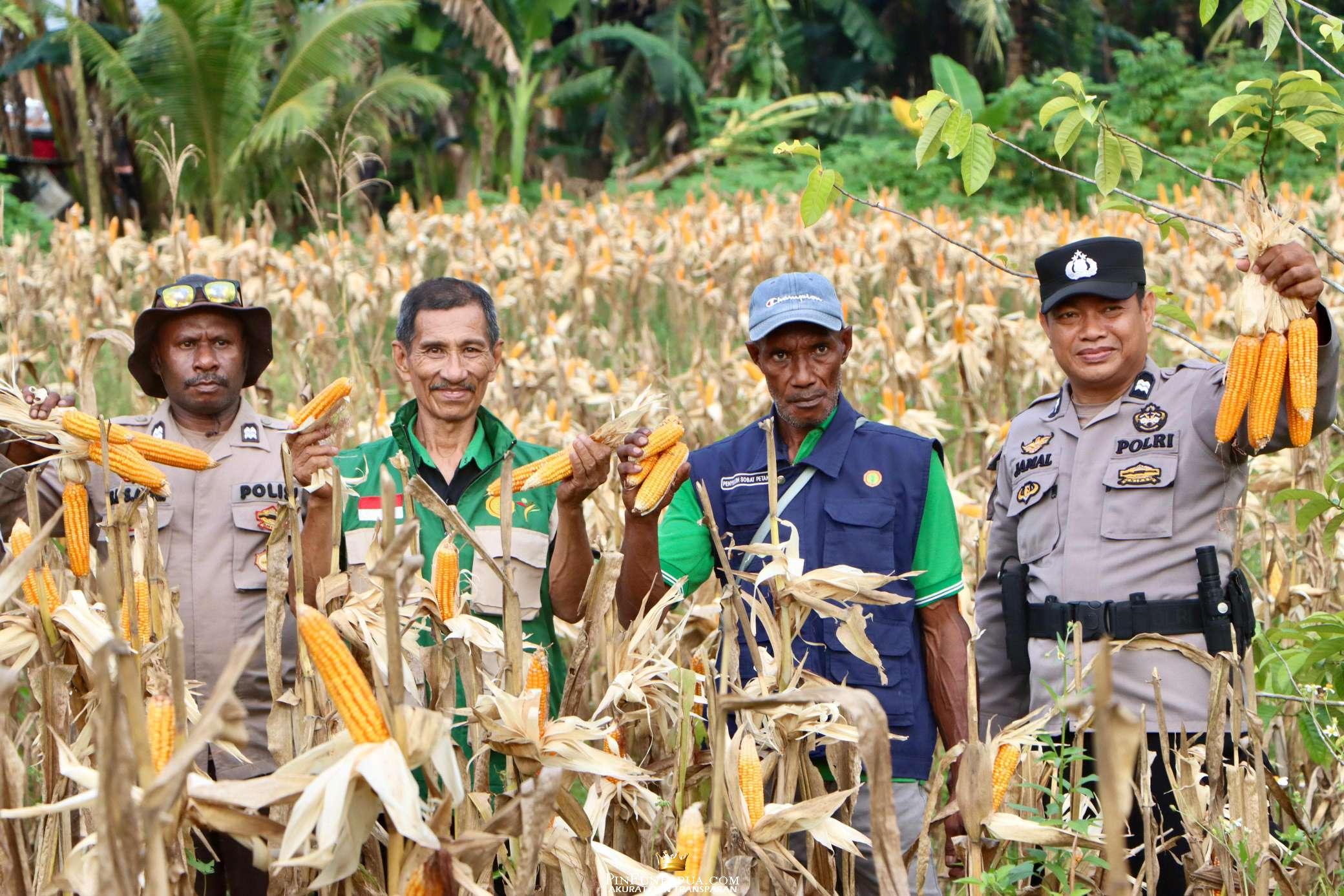 Compress_20260207_102051_1630