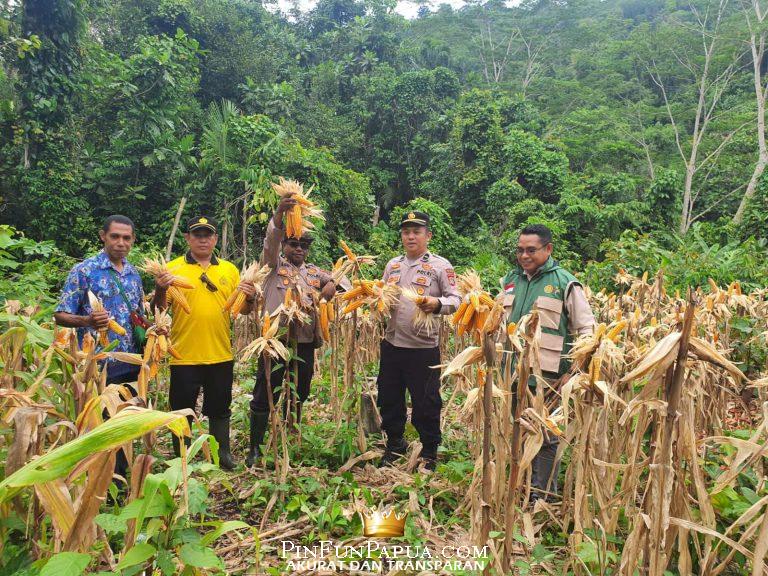 Compress_20260211_124617_7929