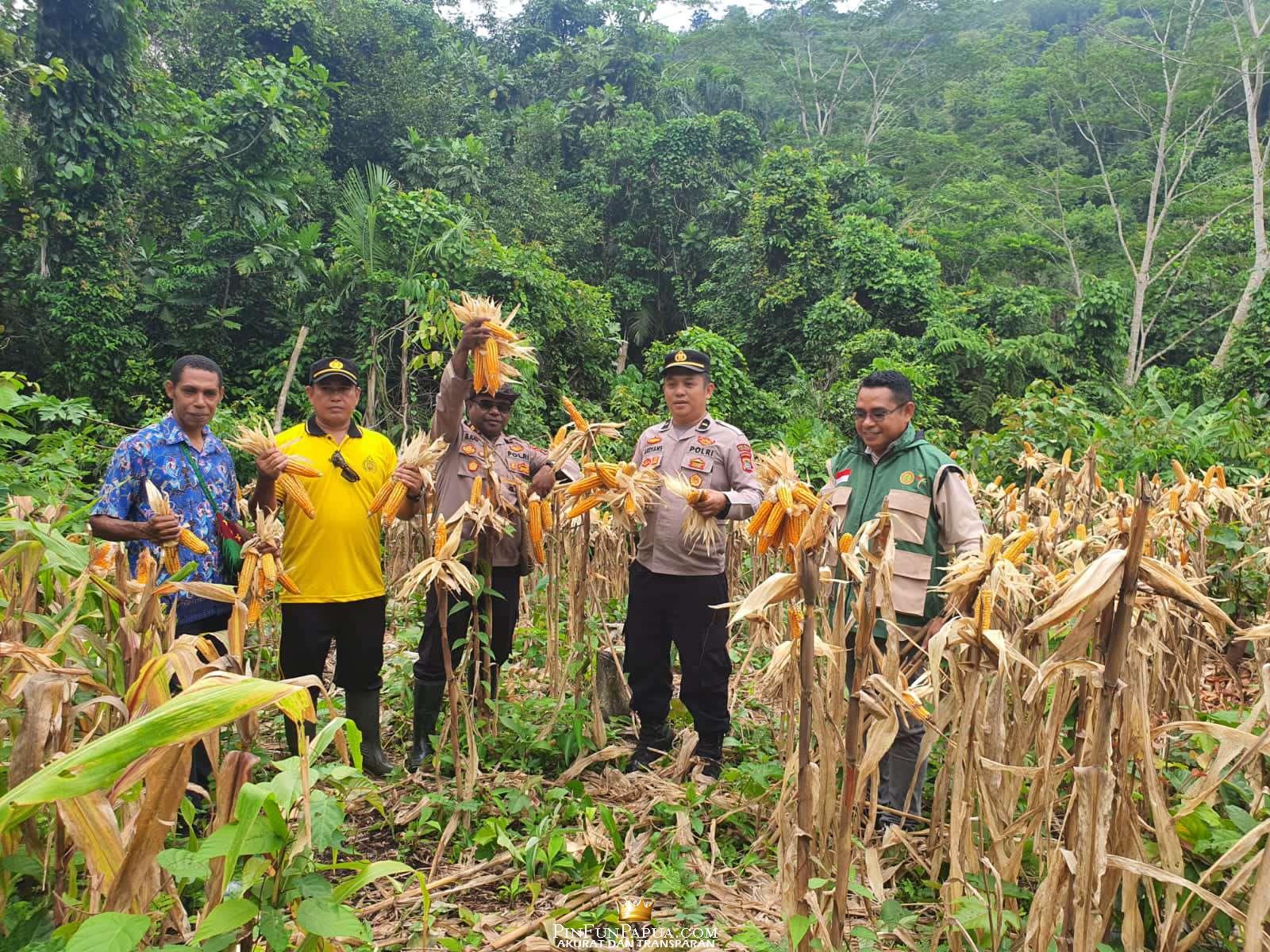 Compress_20260211_124617_7929