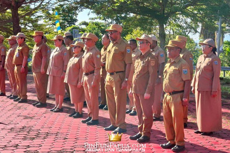 WhatsApp Image 2026-02-02 at 11.12.13