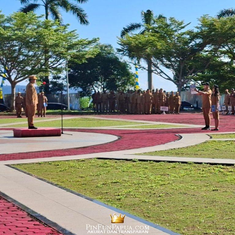 WhatsApp Image 2026-02-02 at 11.17.05